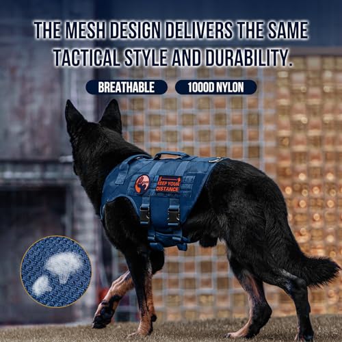 No Pull Tactical Dog Harness for Small Medium Dogs (Blue / M)