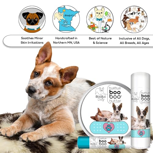 Blue Heeler Boo Butter