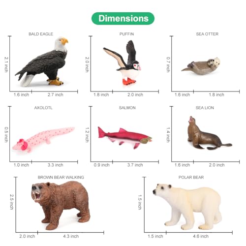 Safari Animal Figurines Toys 12PCS North America Figures Zoo Pack for Toddlers Kids Christmas Decoration Gift Preschool Educational Bald Eagle Bear Salmon Salamander Jungle Forest Cake Topper