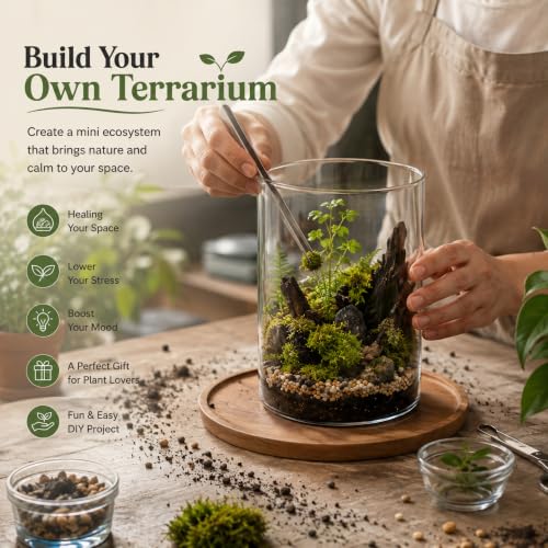 Glass Terrarium Kit with LED Grow Light for Desktop (9.8 x 5.9 Inch)