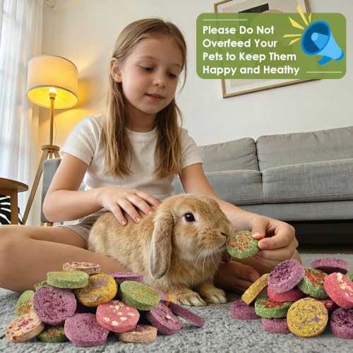 48Pcs Timothy Hay Cake Bunny Chew Toys (1.25 Pound (Pack of 1))