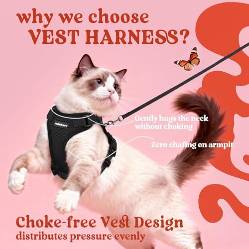 Cat Harness and Leash Set (M / Black)