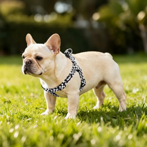 No Pull Dog Harness Small Sized Step (Black&White(Checkered) / Small)