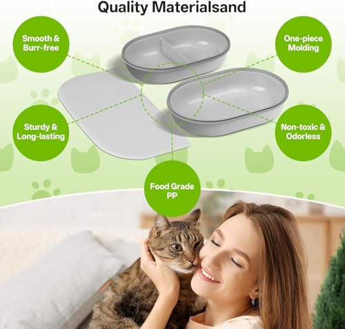 Cat Feeder Bowl (2 Bowl & 1 Mat)