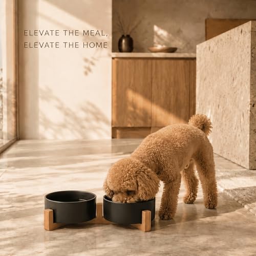 Ceramic Dog and Cat Bowl Set with Wooden Stand (1.7 cups / Black × 2)