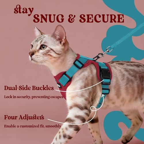 Cat Harness and Leash Set (S / Red & Teal)