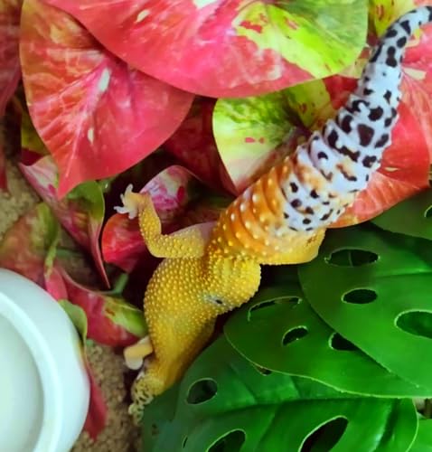 Fake Reptile Plants for Terrarium (Red Arrowhead)