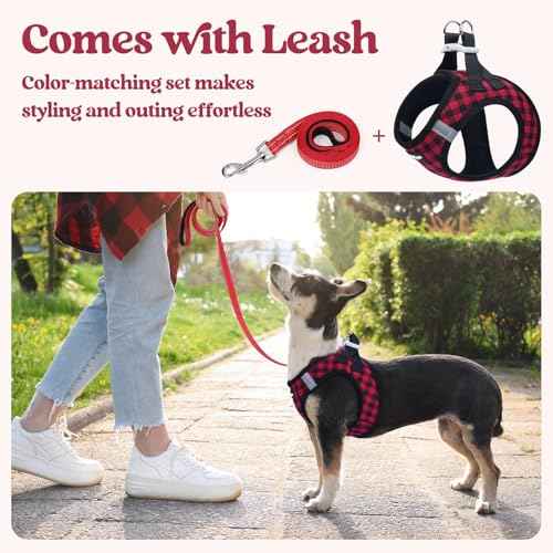 Dog Harness Small Sized and Leash Set (Red Check / Xs (chest: 13.3 - 15.5"))