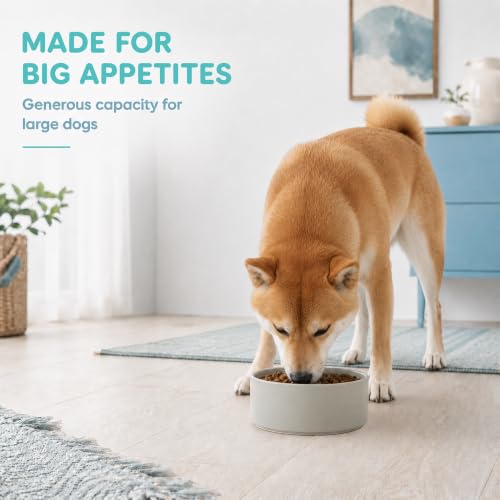 Ceramic Dog Bowls (Matte Gray)