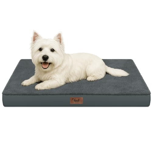 Waterproof Orthopedic Dog Crate Bed for Small Dogs & Cats (Dark Gray / 23.0"L x 17.0"W x 2.5"Th)
