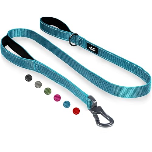 6FT 1IN Heavy Duty Dog Leash for Large Dogs with 2 Padded Handles (Blue / 1 in x 6 ft)