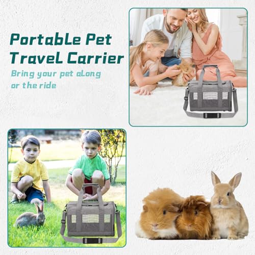 Small Pet Carrier (Gray)