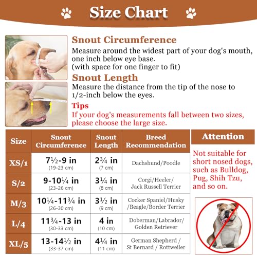 Dog Muzzle Printed Basket Muzzle for Small Medium Large Dogs Dachshund (X-Small / Camouflage)