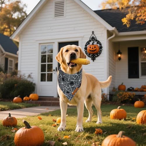 Halloween Dog Bandanas 2 Pack (Halloween / Small)