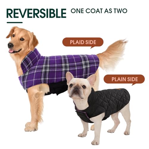Waterproof Dog Coat (Purple / Large (Pack of 1))