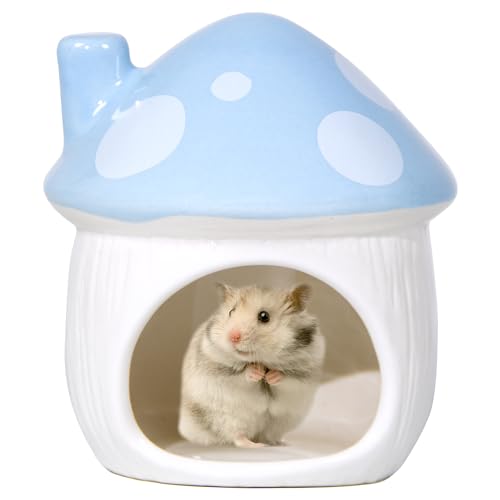 Ceramic Hide Hamster Hideout Small Pets Habitat House Accessories (Blue)