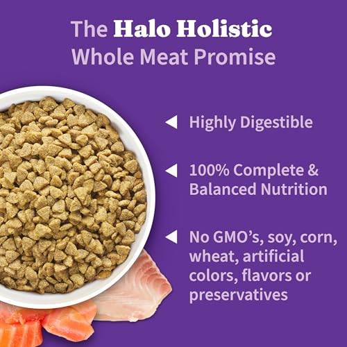 Holistic Dry Cat Food