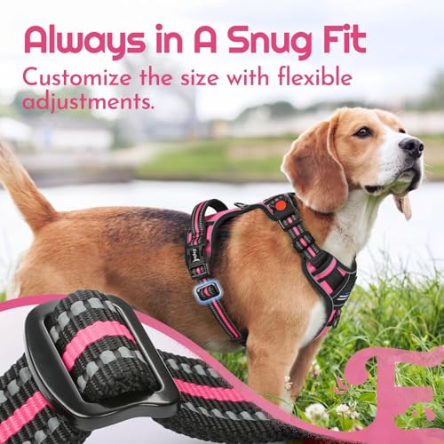 Dog Harness No Pull for Large Dogs (X-Large / Pink & Black)