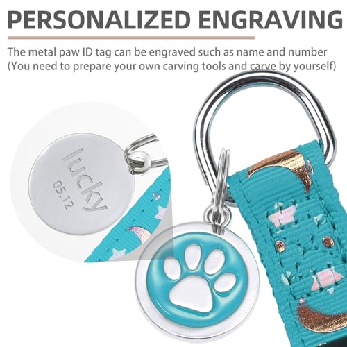 No Pull Dog Harness Small Sized Step (Light Blue Moon Star / Small)