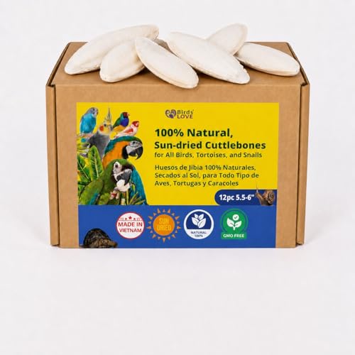 5.5 6″ Cuttlebones for Birds (12 Count (Pack of 1))
