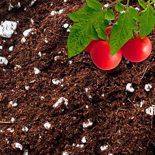 Coco Perlite Coco Coir Perlite Mix (Coco Coir Perlite Mix 70/30 / 15 quarts)