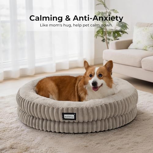 Donut Dog Bed (30.0"L x 30.0"W x 7.0"Th / Wind Chime)