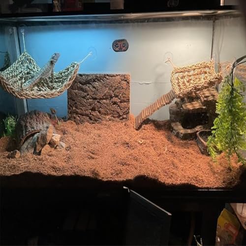 Bearded Dragon Hammock
