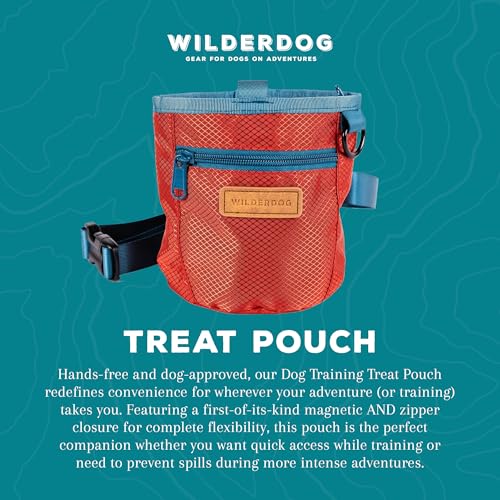 Dog Training Treat Pouch with Magnetic and Zipper Closure (Cinnabar)