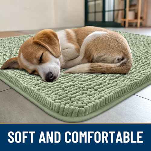 Dog Door Mat for Muddy Paws 59x35 (Sage Green / 59"X35")