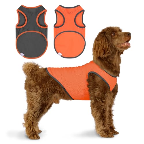 2 Pack Cooling Shirts for Dogs (L(chest:14-15.5") / Black&Orange)