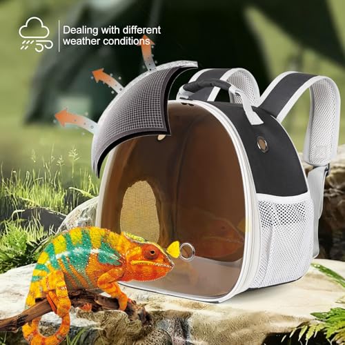 Bearded Dragon Travel Backpack with Harness and Leash Set (Black/Brown)