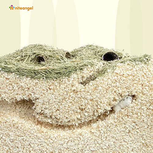 65L Aspen Shaving Hamster Beddings for Syrian Dwarf Hamster Gerbil Mice Degu Rat Rabbit Bunny Guinea Pig Chinchilla Hedgehog or Other Small Pets (65L - 8 mm)