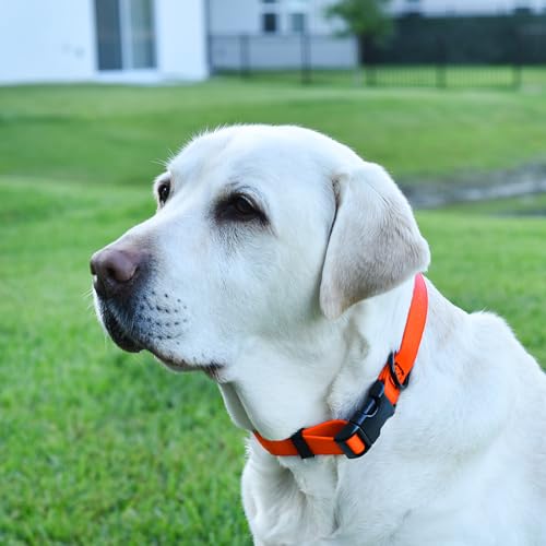 Biothane Waterproof Dog Collar with Quick Release Buckle Strong Coated Nylon Webbing with Odor (1"W by 15-25"L / Hunter Orange)