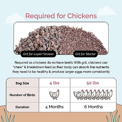 Chicken Grit Layer & Grower (50 Pound (Pack of 1))