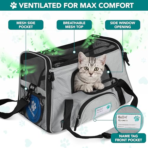 Airline Approved Pet Carrier for Cats & Small Dogs (Light Gray / 17.0"L x 10.2"W x 11.2"H)