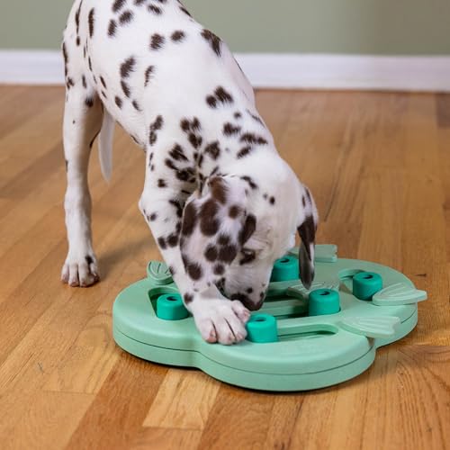 Nina Ottosson Puppy Hide N' Slide Dog Toy Treat Puzzle (Green / 1 Count (Pack of 1))