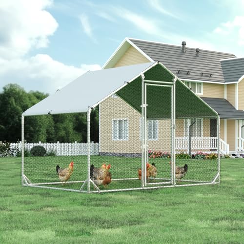 Metal Chicken Coop (9.8’L x 6.6’W x 6.4’H)