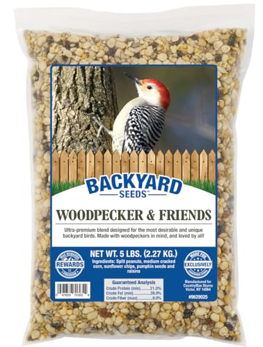 5LB Backyard Seeds Woodpecker No (Woodpecker / 5 Pound (Pack of 1))