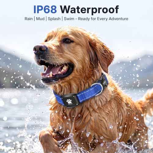 GPS Dog Collar with Tracker (Blue / M(14.5''-19.5''))