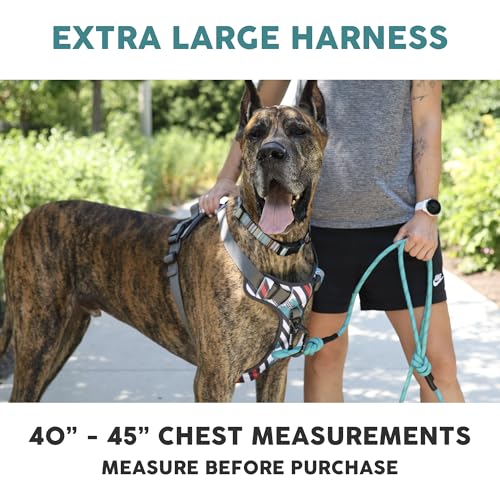 Embark No Pull Dog Harness (XL / Baja)