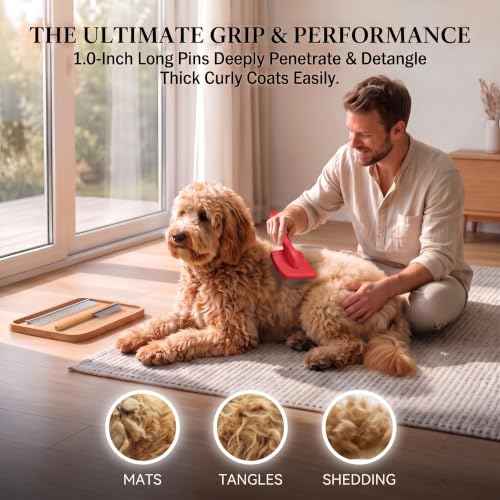 Slicker Brush for Dog (Large / Red)