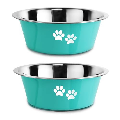 Stainless Steel Dog Bowls (Green / 8.5 Cups/71 OZ)