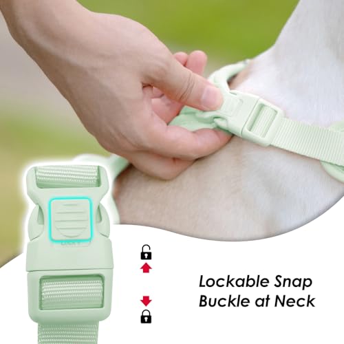 No Pull Dog Harness for Medium Sized Dogs Puppy Vest No Choke (Light Green / M(Neck:18.5-25.6", Chest:20.9-30.7"))