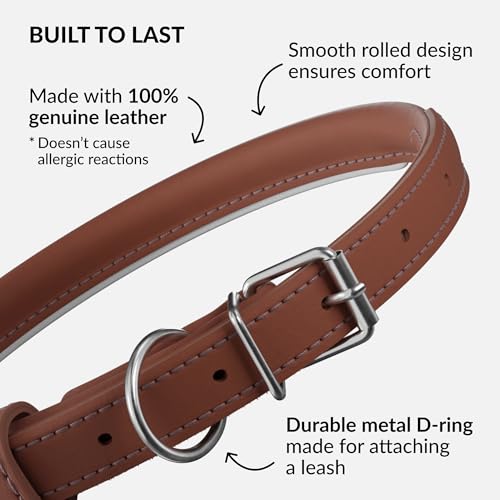 Tangle Free Reflective Leather Dog Collar (Cinnamon / XS)