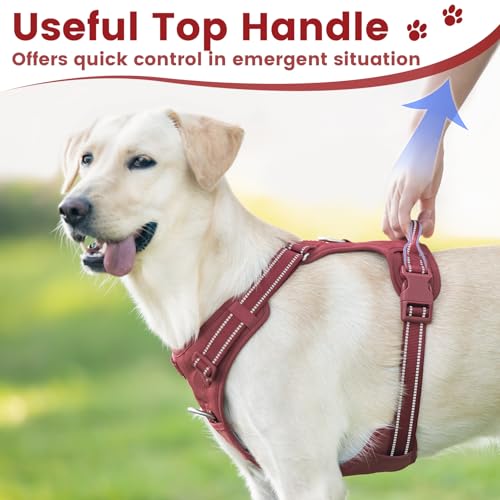No Pull Dog Harness Front Clip Handle