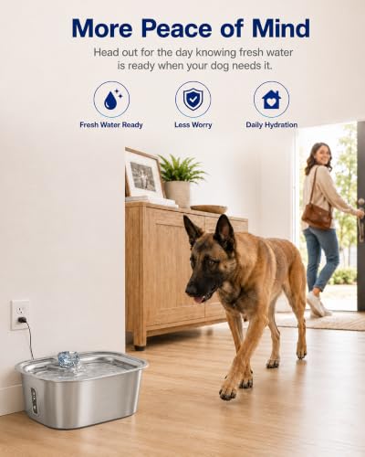 2.4 Gallon Stainless Steel Dog Water Fountain for Large Dogs