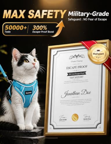 Cat Harness and Leash Set (Night Blue / X-Small (4-6lb))