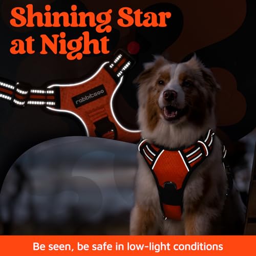 Dog Harness Medium Sized (Orange / Medium)