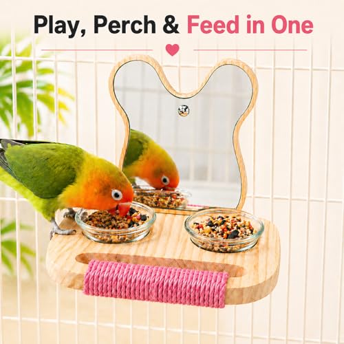 Bird Mirror with Perch and Feeder (5.9 inch)