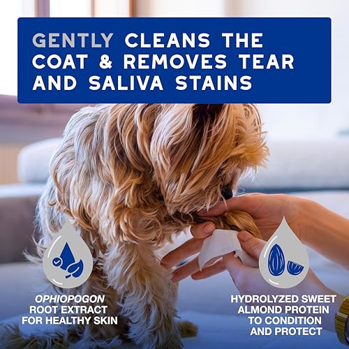SPA Dog Wipes for Paws (100 wipes)